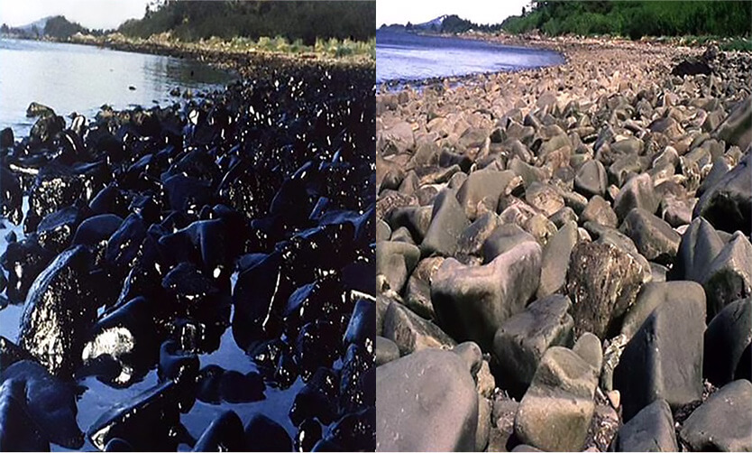 Exxon+Valdez+OIly-Rocks