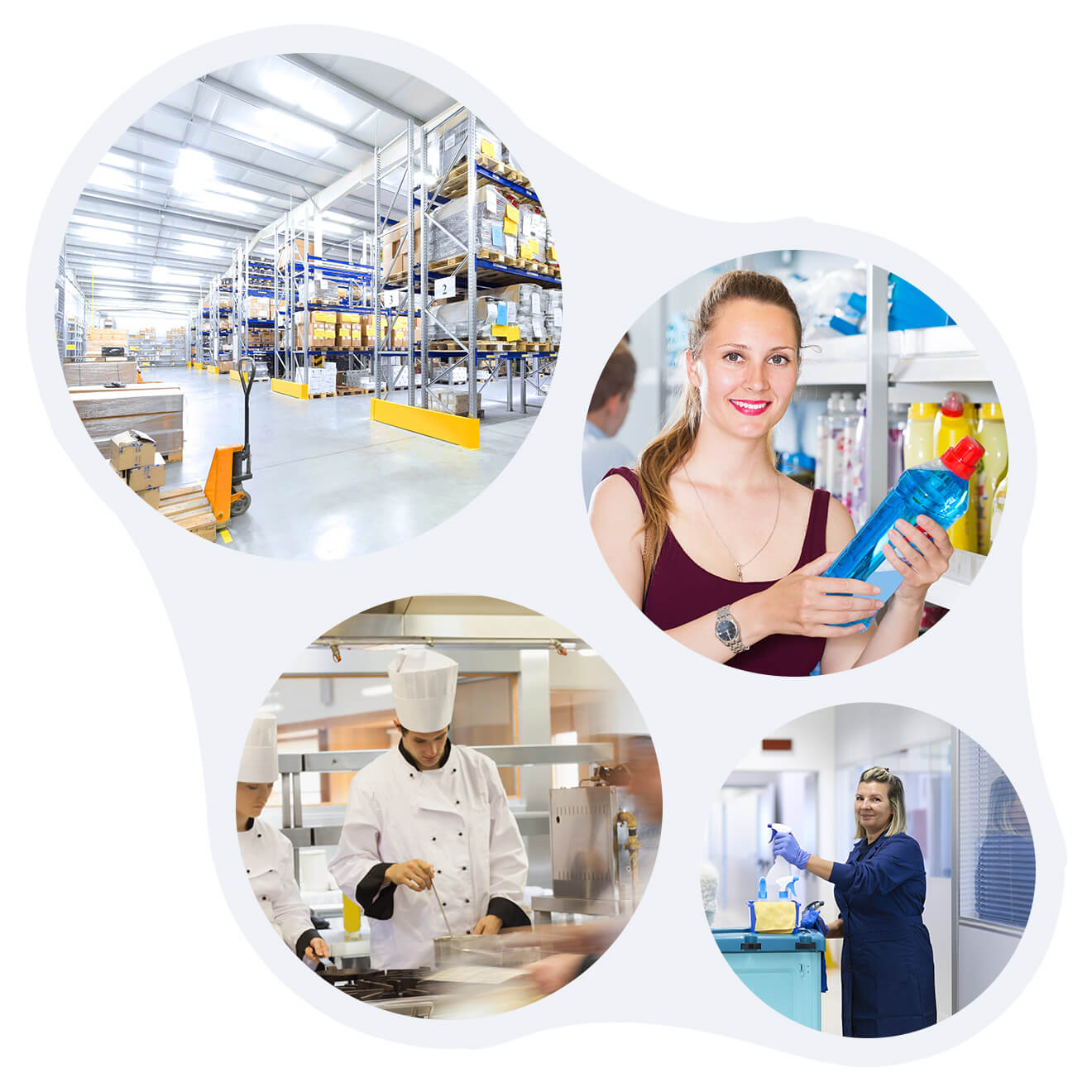 cater-to-all BioSafe Organics Cleaning