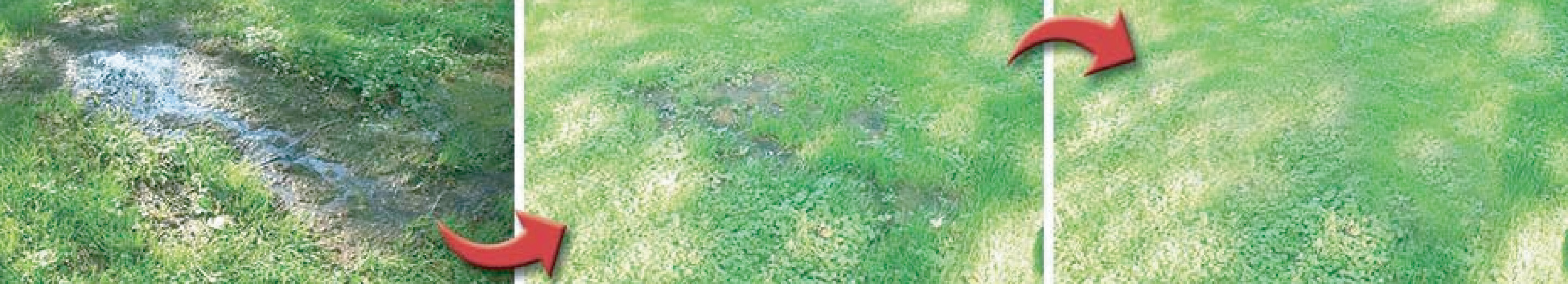 Commercial Septic Treatment Commercial Septic Treatment