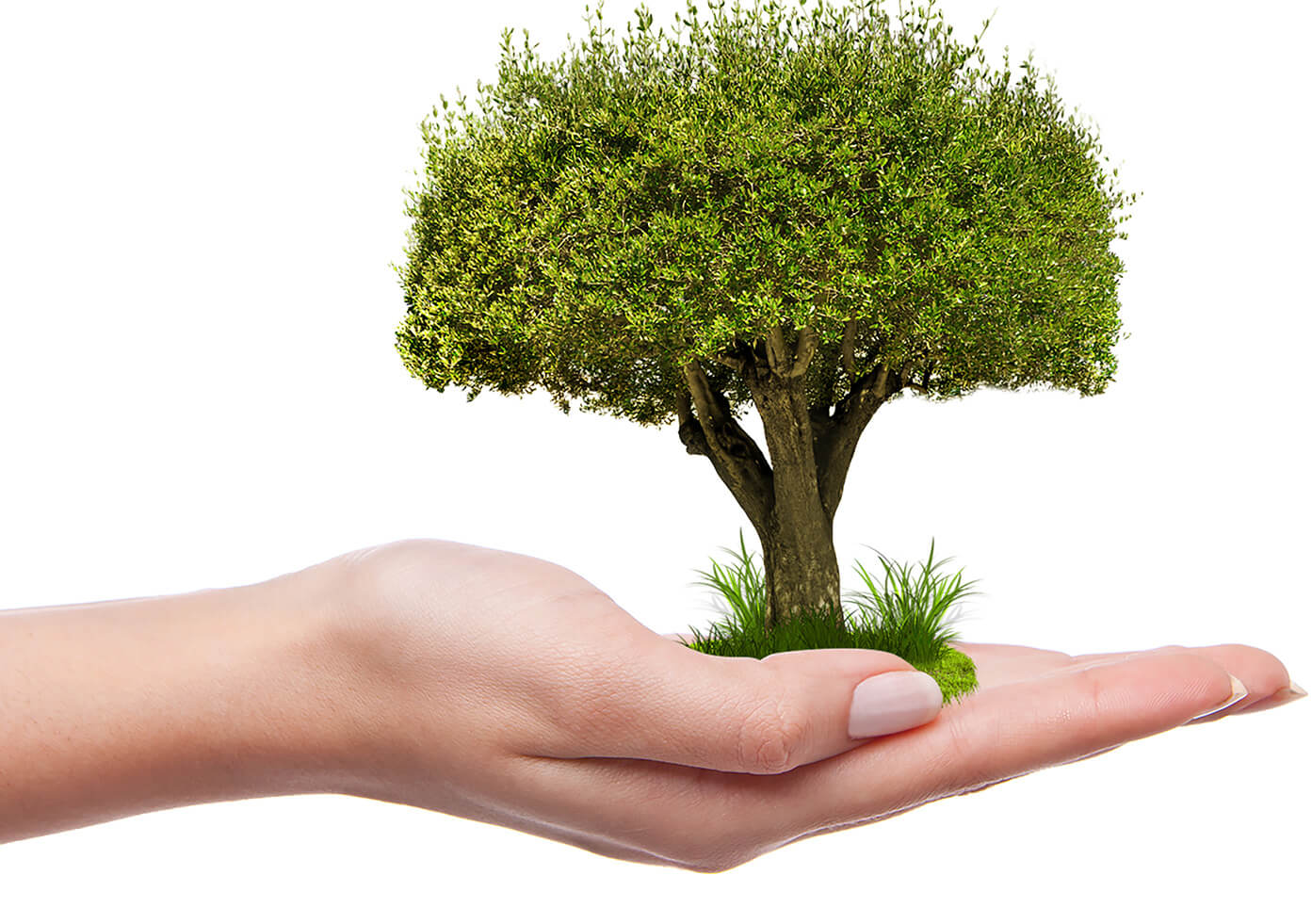 Organic Cleaning Products from BioSafe Organics BioSafe Organics Cleaning